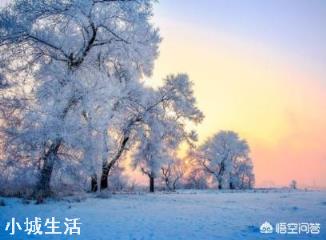 地震后有的地上会生白毛，这“白毛”究竟是什么？