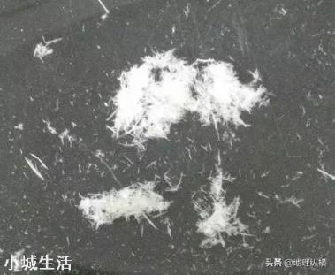 地震后有的地上会生白毛，这“白毛”究竟是什么？