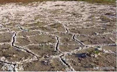 地震后有的地上会生白毛，这“白毛”究竟是什么？