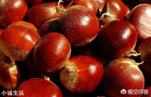 板栗能冷冻吗？会有什么影响？