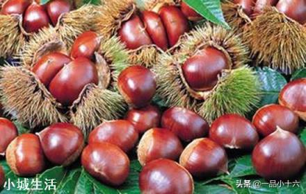 板栗能冷冻吗？会有什么影响？