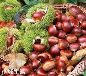 板栗能冷冻吗？会有什么影响？