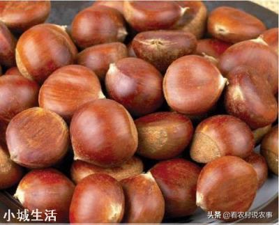 板栗能冷冻吗？会有什么影响？