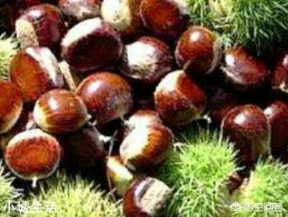 板栗能冷冻吗？会有什么影响？