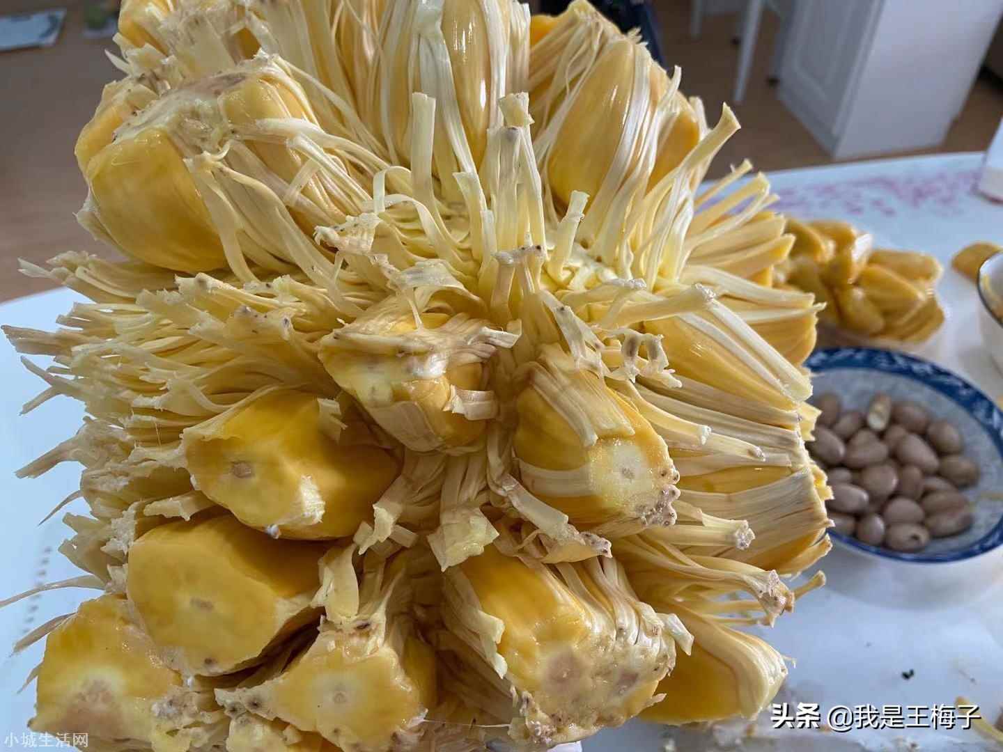 海南菠萝蜜怎么样才算熟 菠萝蜜怎么看熟不熟