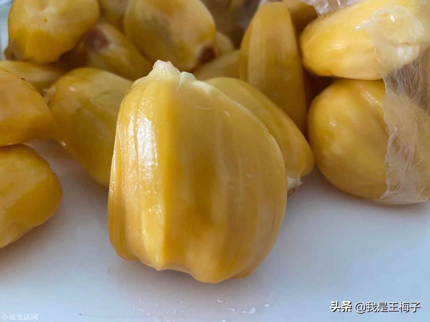 海南菠萝蜜怎么样才算熟 菠萝蜜怎么看熟不熟