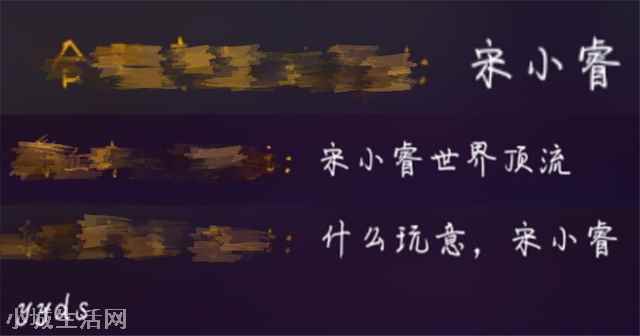 12岁网红宋小睿评论区被黑粉“围攻” 宋小睿事件来龙去脉
