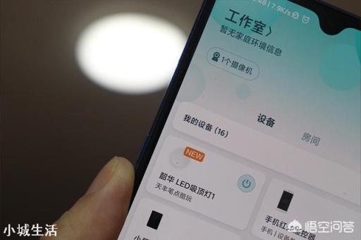 想买个智能LED吸顶灯，米家的YeeLight智能吸顶灯和智睿吸顶灯哪个好？