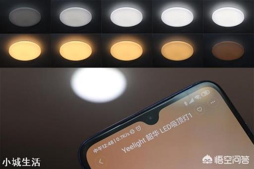 想买个智能LED吸顶灯，米家的YeeLight智能吸顶灯和智睿吸顶灯哪个好？
