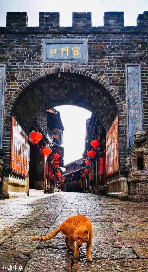 你们喜欢一个人旅行,还是有人陪伴旅行?