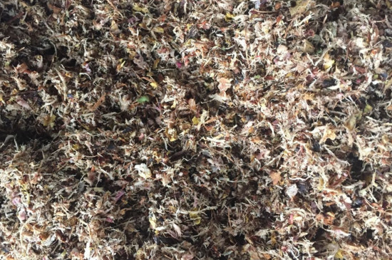 中药渣可以做花肥吗