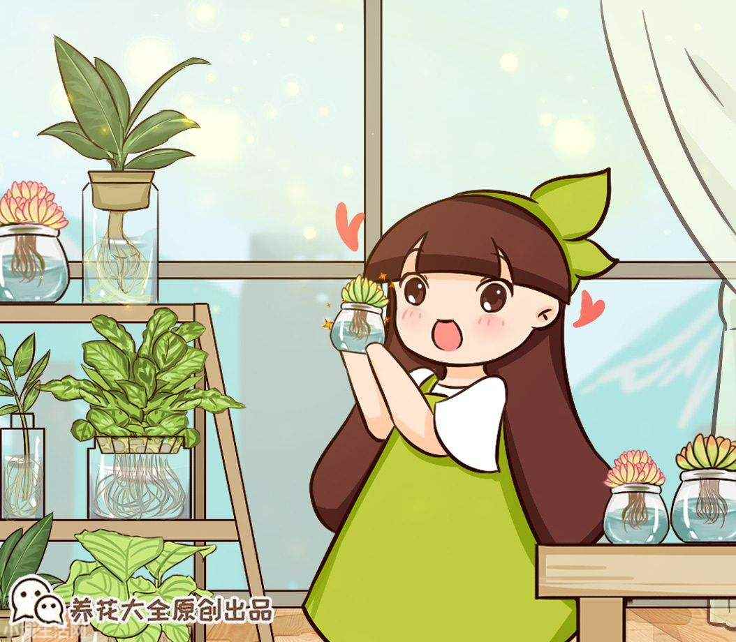 垂盆草在室内怎么养最佳