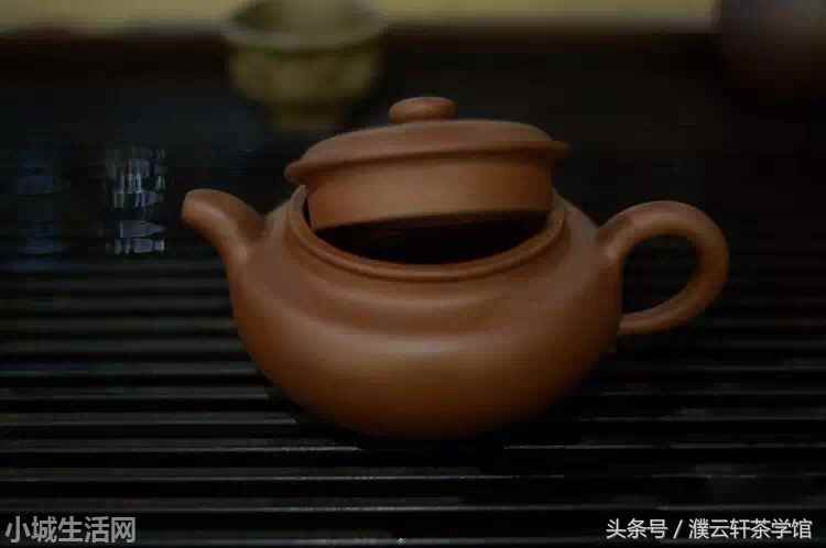 普洱云轩妹子怎么养经验分享