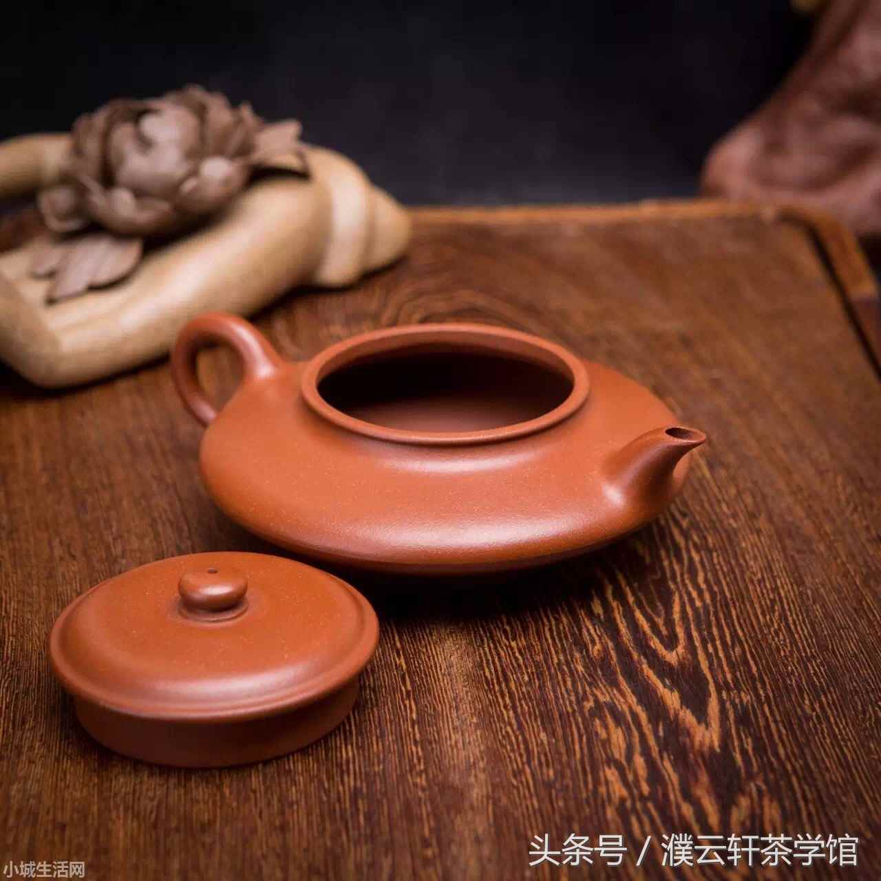普洱云轩妹子怎么养经验分享
