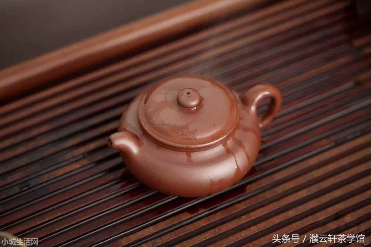 普洱云轩妹子怎么养经验分享