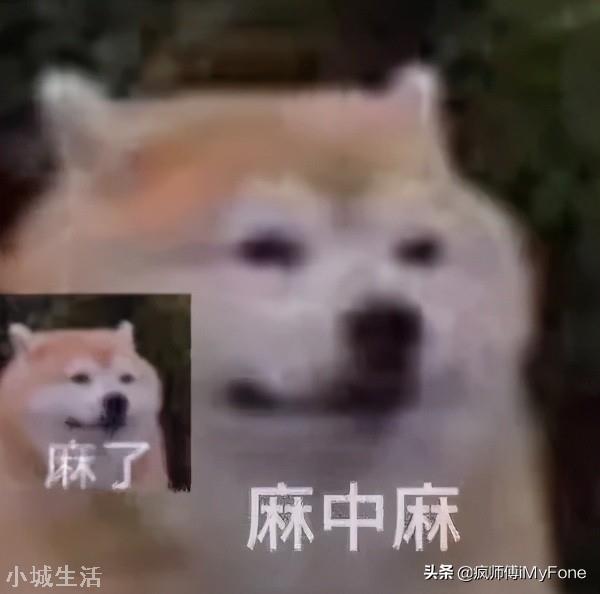 微信 iOS 版 8.0.12 正式发布,更新了个寂寞
