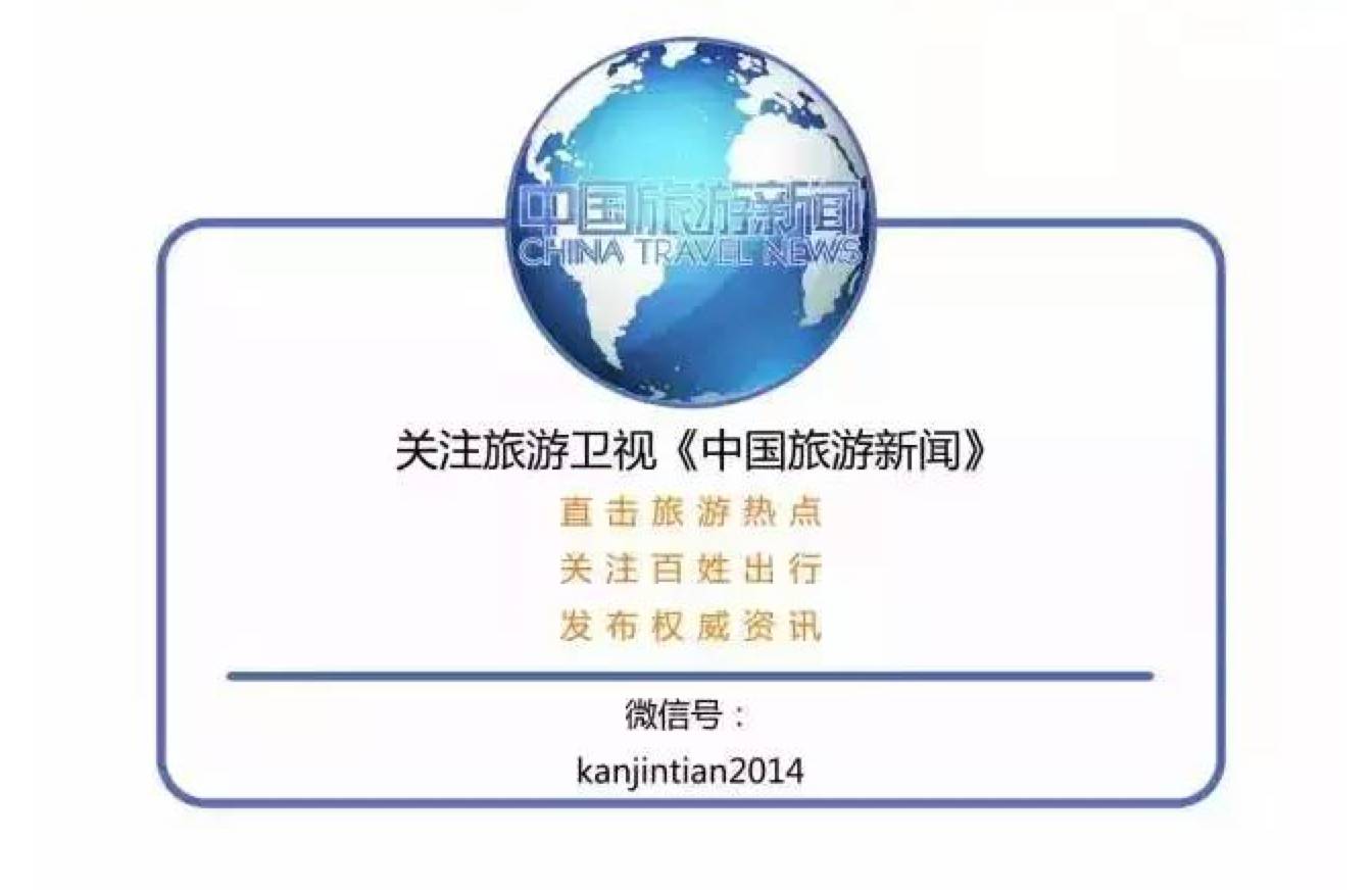 大概费用 石斛多少钱一斤