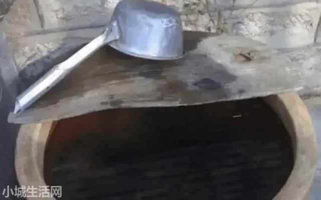 鲫鱼在鱼缸里怎么养详细介绍