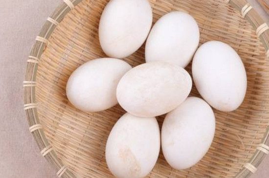 鹅蛋能和茄子一起吃吗