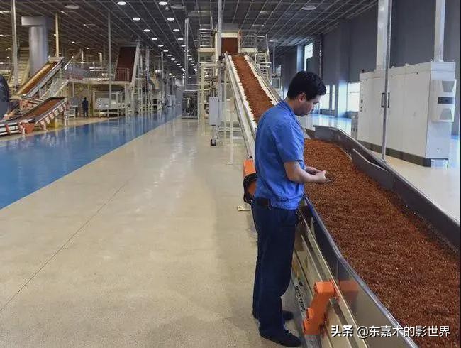 软中华多少钱一条「指导价」