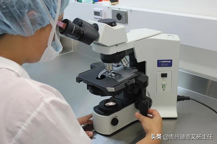 市场价 亲子鉴定多少钱