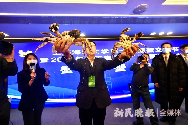 最新2021 ?大闸蟹多少钱一斤