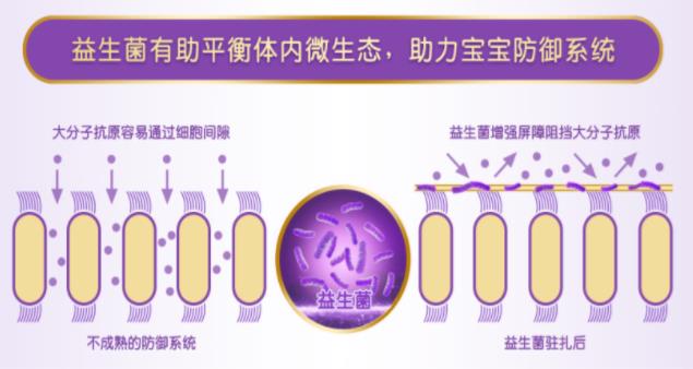 水解蛋白奶粉哪個好，超啟能恩適度水解蛋白奶粉敏寶寶的守衛者