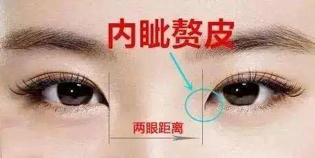 市场价 ?整容多少钱