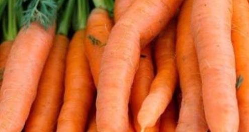 快速瘦脸养肤的5种食物 美丽的瓜子脸也可以通过食物来呈现