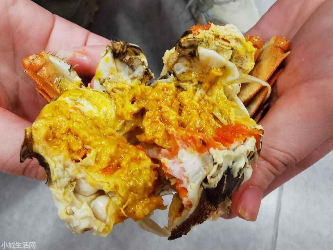 ?大闸蟹家里怎么养新手必看
