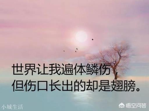 有哪些最现实最扎心的句子？