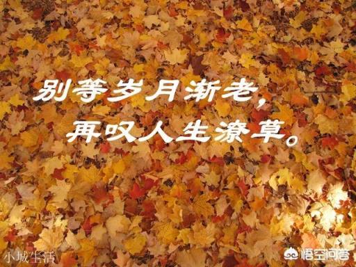 有哪些最现实最扎心的句子？