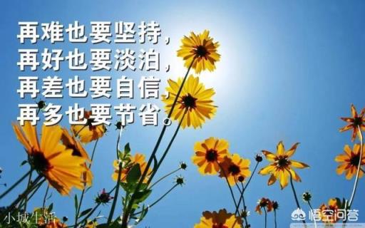 有哪些最现实最扎心的句子？