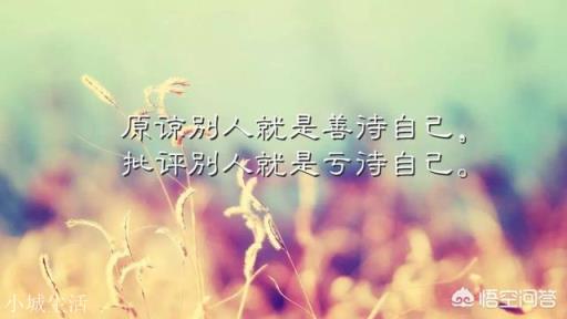 有哪些最现实最扎心的句子？