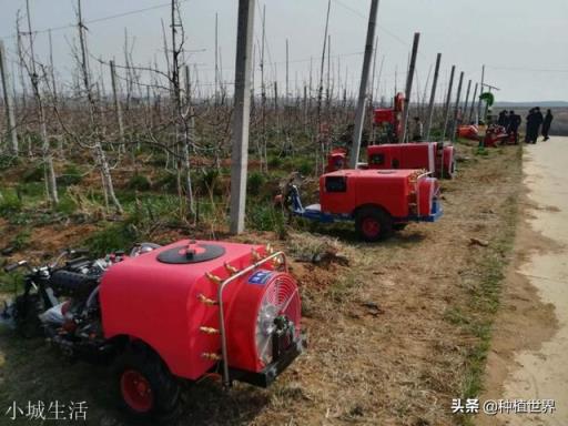 国内苹果种植能规模化吗？需要什么样的农机？请指点？