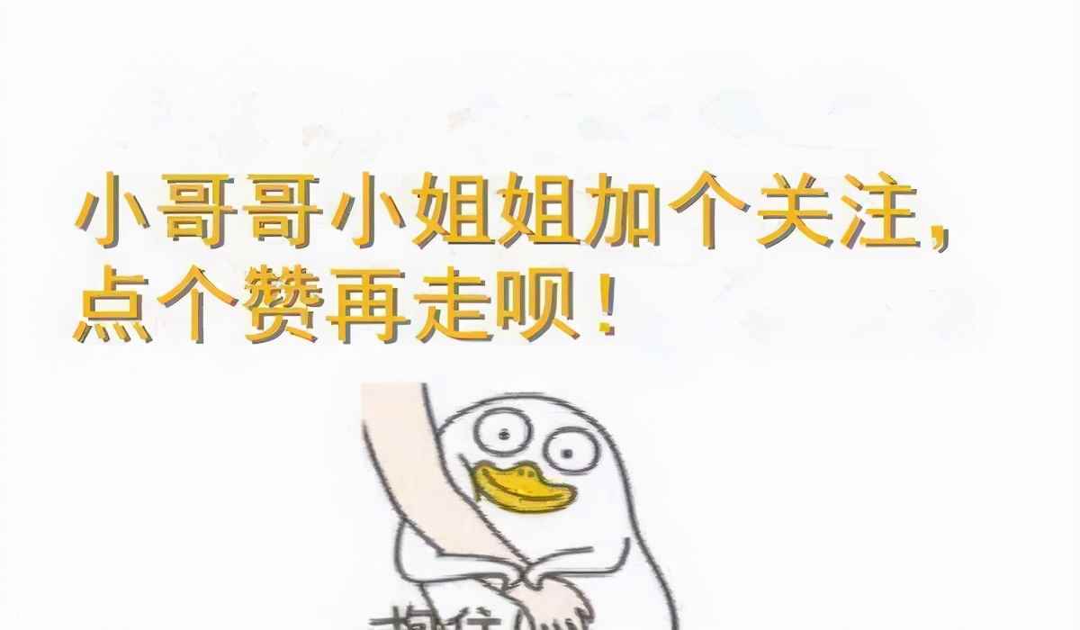 田园猫品种猫怎么养需要注意什么