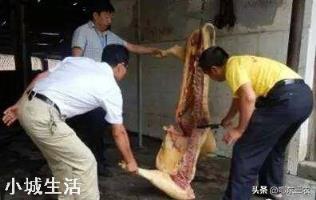 发现猪膘是黄色的，其它都正常，能吃吗？