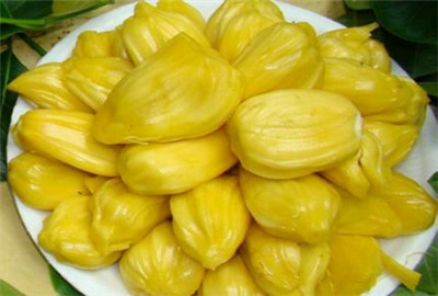 菠罗蜜的功效与作用