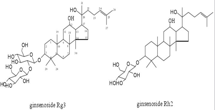 人参皂苷Rg3吃进肚子竟消失了!它去了哪里?
