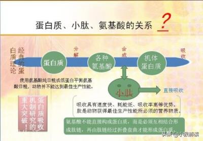 老鹰吃了极毒的蛇为什么不中毒？