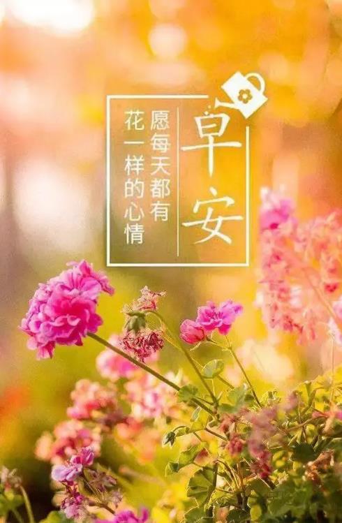 2020正能量励志早安语录，带图片早安正能量的好句子
