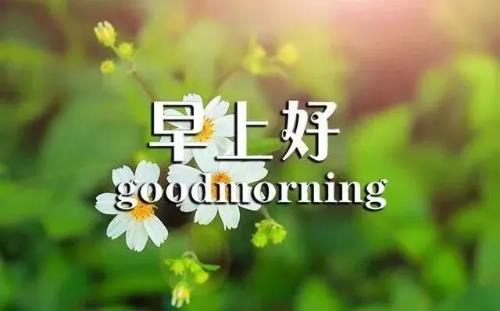 2020正能量励志早安语录，带图片早安正能量的好句子