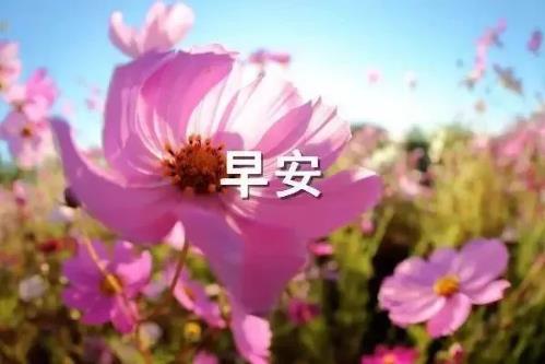 2020正能量励志早安语录，带图片早安正能量的好句子
