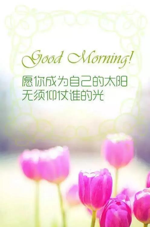 2020正能量励志早安语录，带图片早安正能量的好句子