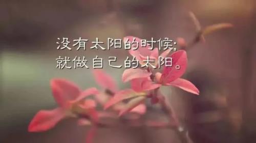 2020正能量励志早安语录，带图片早安正能量的好句子