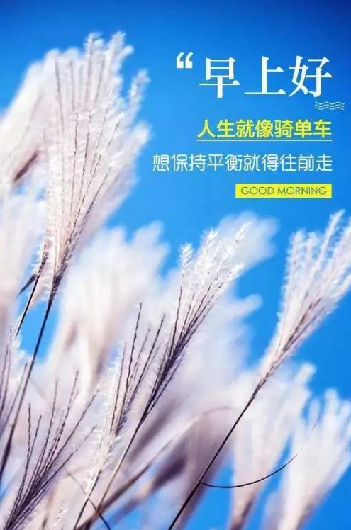 2020正能量励志早安语录，带图片早安正能量的好句子