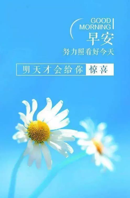 2020正能量励志早安语录，带图片早安正能量的好句子
