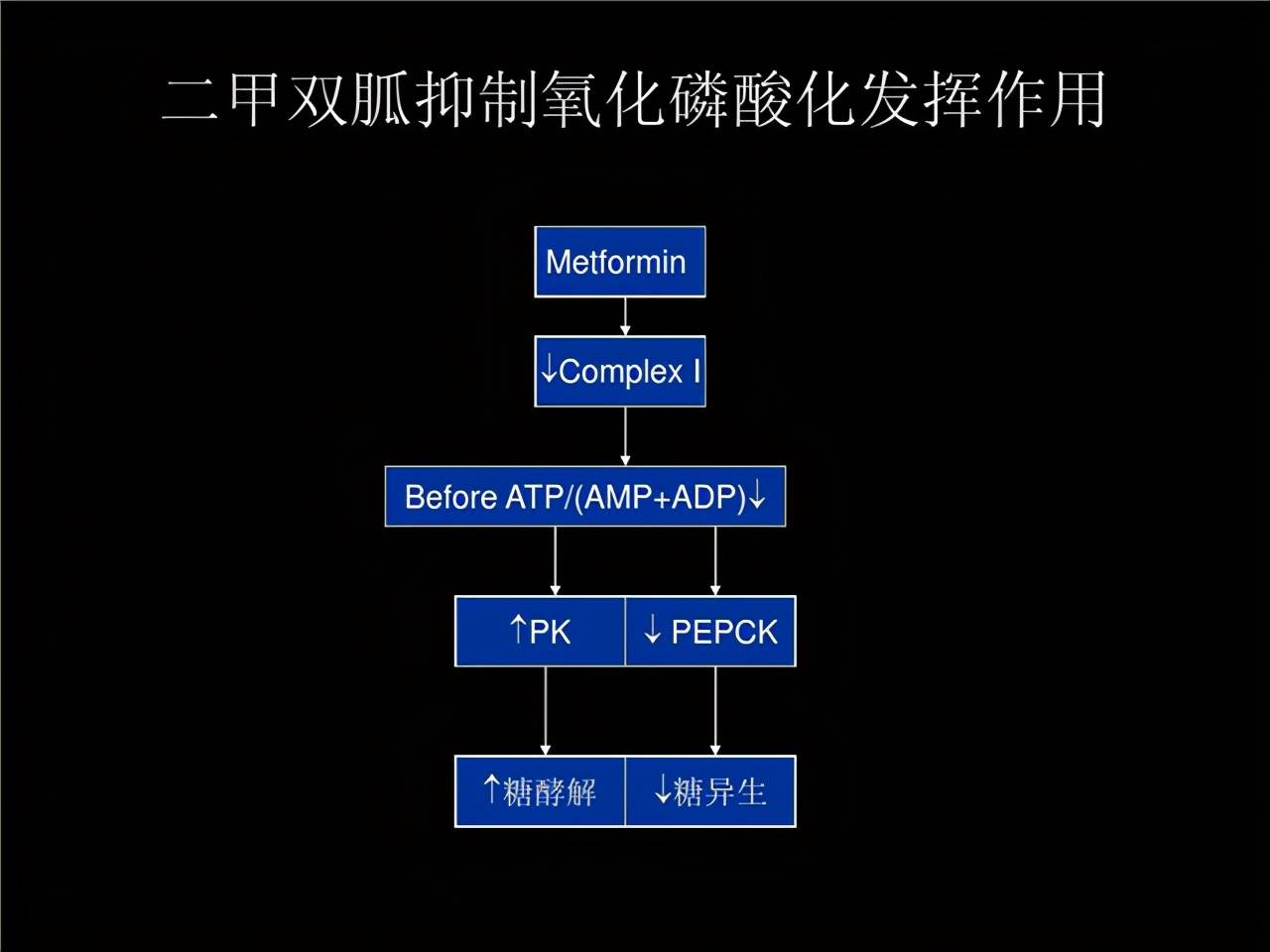 16斤多囊吃二甲瘦不少 二甲雙胍怎么吃
