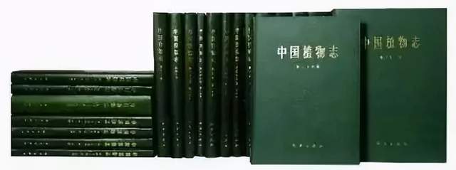 《岛》多少钱「指导价」