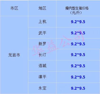 现在价格 福建多少钱